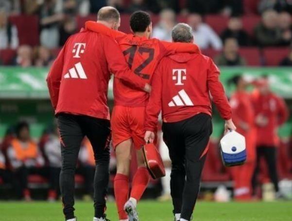 拜仁惨败：德甲霸主在欧冠生涩的简单介绍