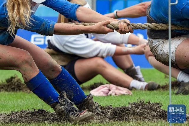 瑞士队一路高歌，欧预赛实力惊人的简单介绍