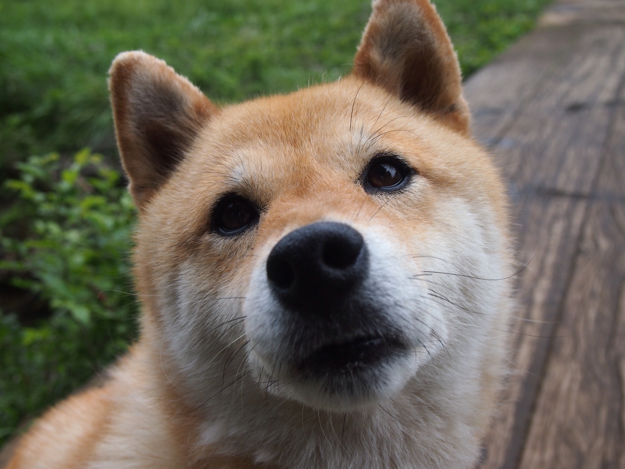 马里横扫丹麦，黄喜灿在奥运周期关键战的王者接管