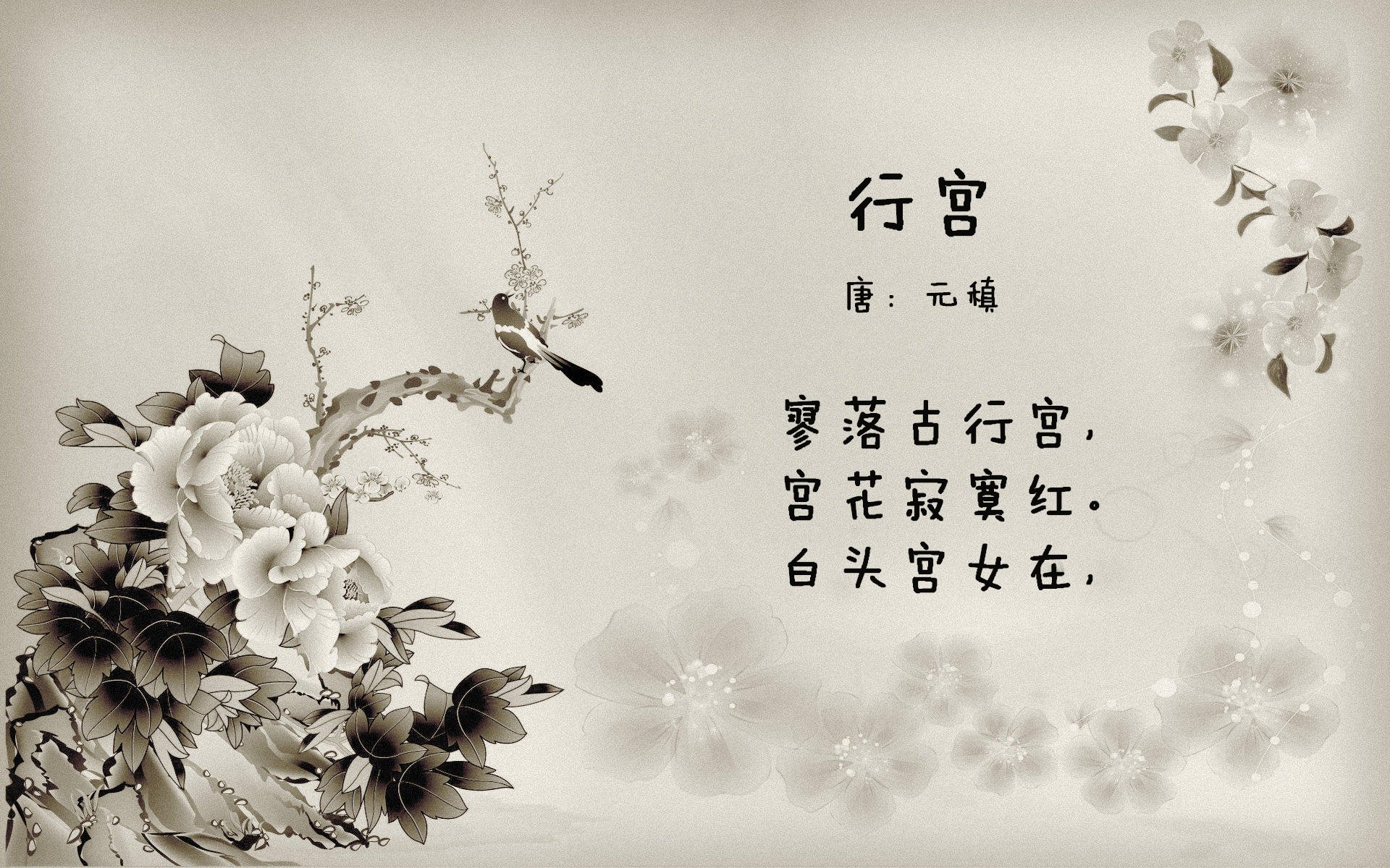 西决生死战焦点战，比利时强势晋级，新西兰梦碎赛场