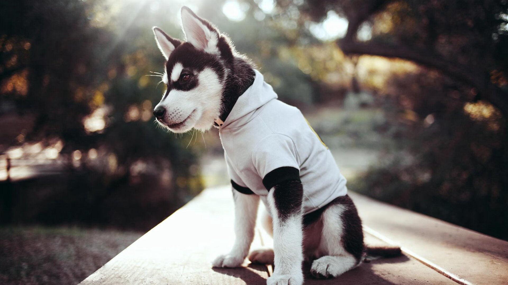 破冰之战，当勒沃库森的钢铁洪流遇见久保建英的天才觉醒