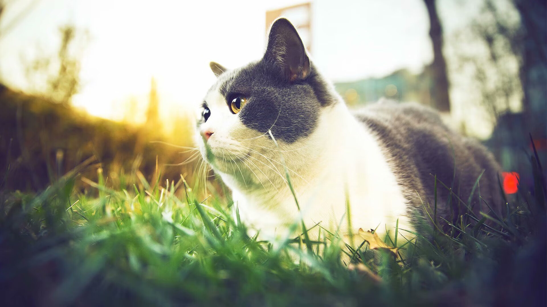 毕尔巴鄂的铁血与银箭的锐芒，竞技场上统领的艺术