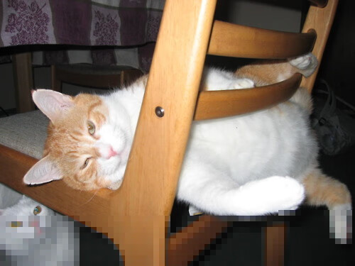 双星耀夜,皇家社会绝境突围,蒂亚戈抢七封神