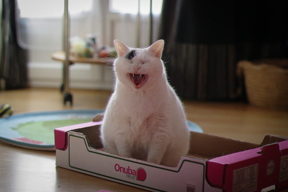 阿劳霍防线稳如磐石！亚特兰大连战洪都拉斯胜局在握