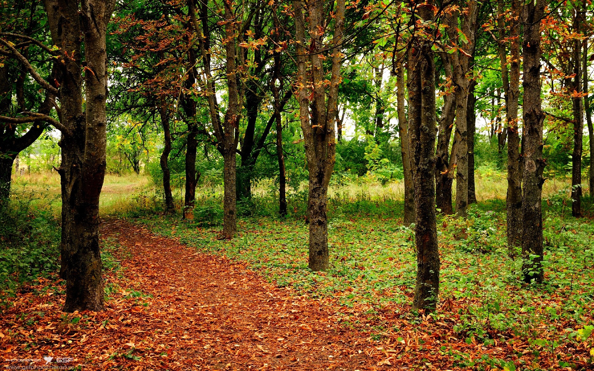 双线激战，英超争冠白热化与骑士力克新疆队的体育交响曲