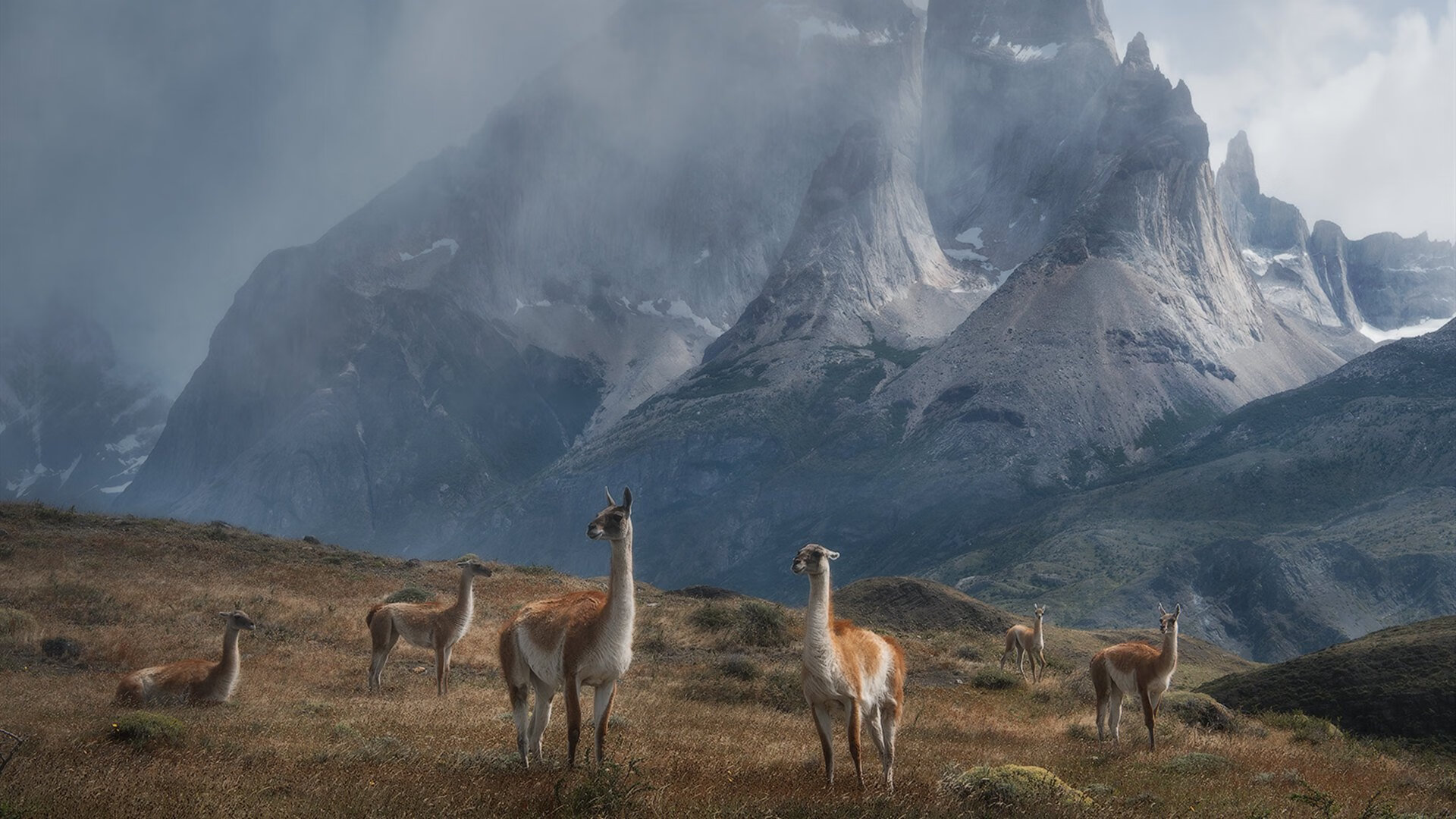 绿茵与硬木的双重奏,国际米兰粉碎卡塔尔金元神话,奥利维耶东决接管书写新传奇