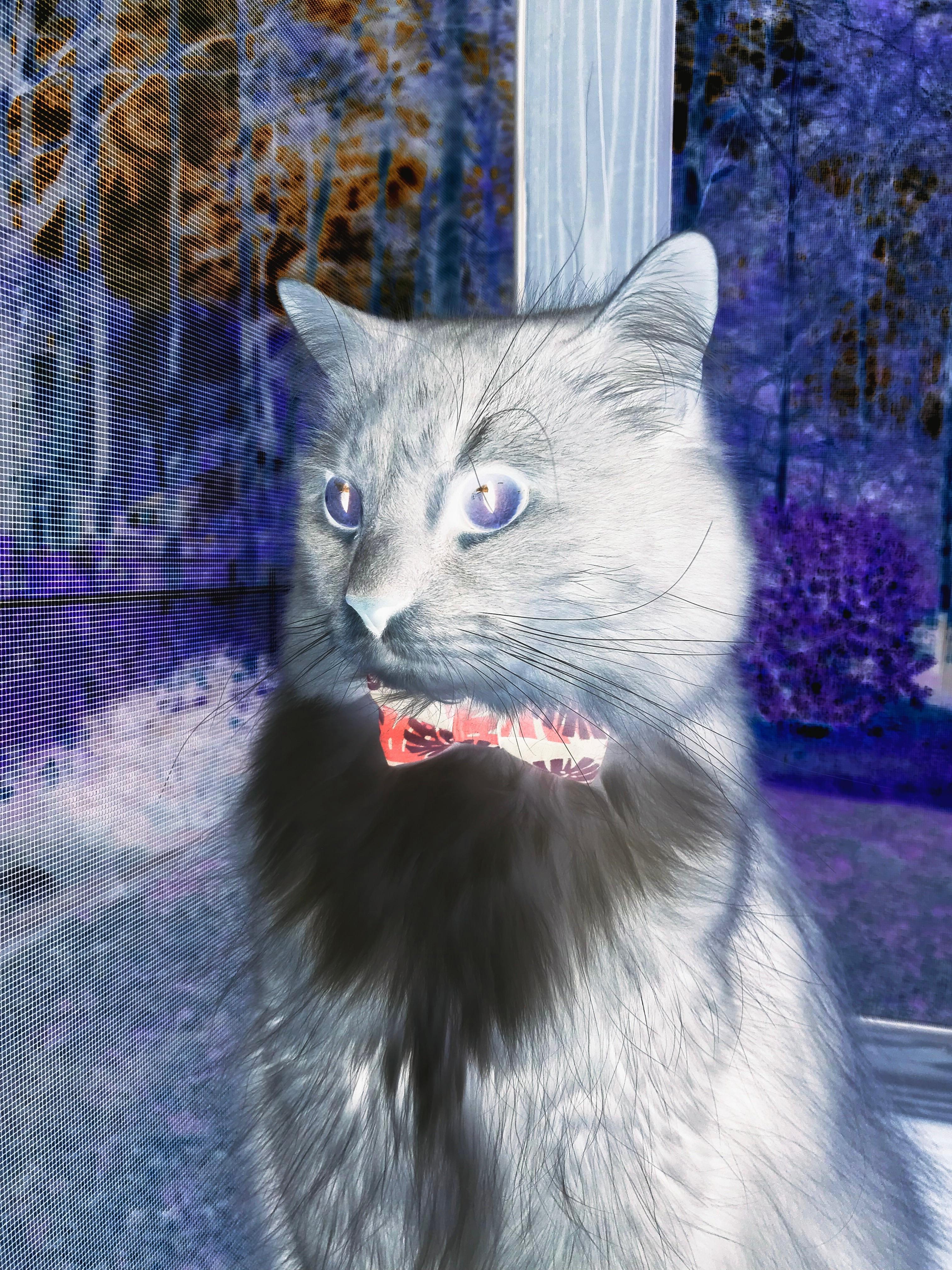 终极三分雨，当英超争冠夜遭遇克莱式无解火力